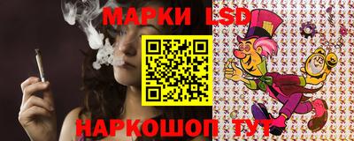 индика Гагарин