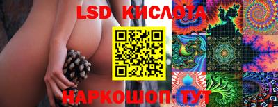 индика Гагарин