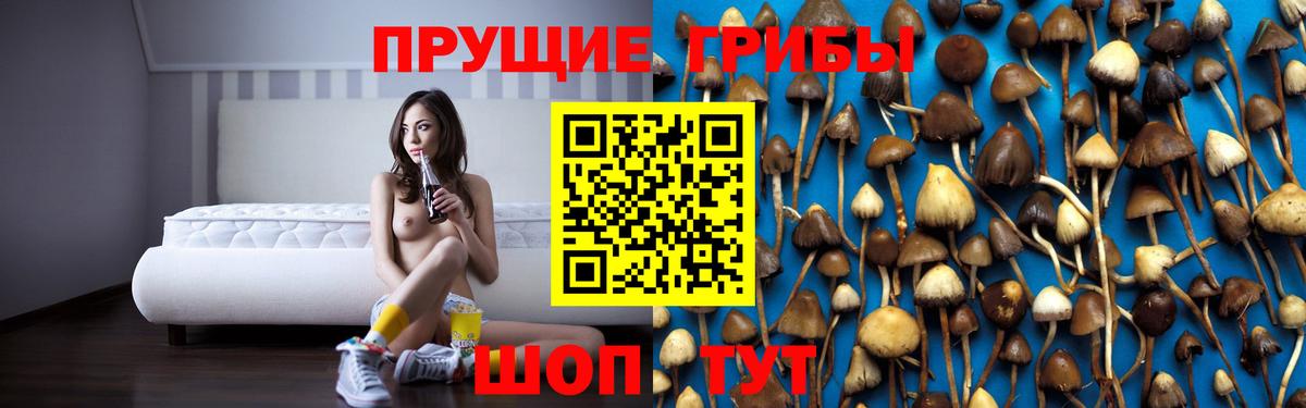 Галлюциногенные грибы ЛСД Мариинск